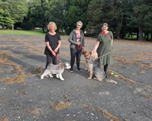 Standing in a potential future dog park in Milton are (from left) Lynda Allen with Walter,...