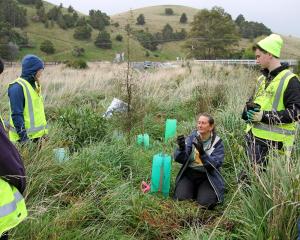 Project co-ordinator Catriona Gower shows student volunteers the best way to establish native...