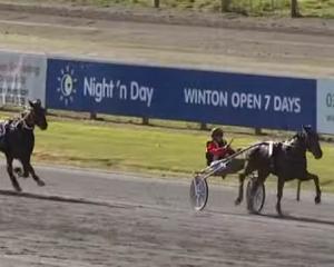 Dasher leads the field down the home straight at Winton on Saturday. PHOTO: YOUTUBE VIDEO STILL /...