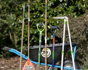 The essential  garden tool kit for the home garden. PHOTO: GERARD O'BRIEN 