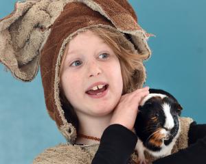 Marcus Ferguson, 9, of Dunedin, shows off his guinea pig Egg, 3, at the Otago Cavy Club’s Autumn...