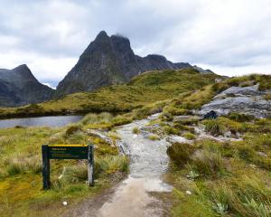 Bookings opened for the Milford Track at 9.30am on Tuesday. File photo: Getty