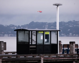 The man went missing before the Wellington East by West ferry arrived at the wharf on Days Bay...
