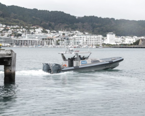 The search is being led by the Police Maritime Unit with help from the Navy. Photo: RNZ
