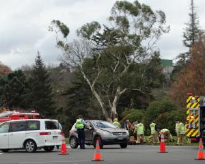 Police and Fire and Emergency New Zealand personnel were at the scene of a two-vehicle crash in...