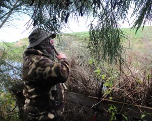 Bleating out a call for ducks in the Mokotua area is Invercargill man Phil Peek. PHOTOS: NINA TAPU