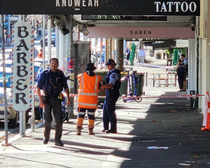 Emergency services responded to reports of a gun being fired on Ponsonby Road about 10.20pm on...