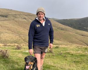 Owaka farmer Todd Rowland is up in Blenheim this week with his huntaway Demo competing at the...