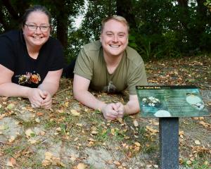 Inspecting a new native bee information panel at Robin Hood Park are Entomological Society of New...
