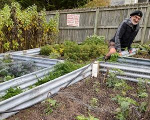 Dalmore Reserve Community Garden co-ordinator Keith Moffat is keen to encourage local people to...