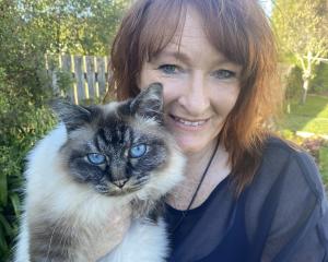 Amanda Tulley and her cat, Walter, after he had been shot at two times. He has now been missing...