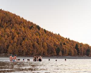 Event-goers take a plunge in Lake Tekapo. PHOTOS: HOLLIE MORTON