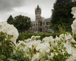 Hundreds of people will graduate from the University of Otago in two ceremonies today. PHOTO:...