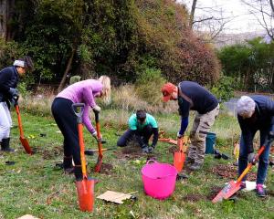 Volunteers at the red-zoned Port Hills on Wednesday.