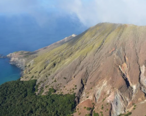 An aerial view of Whakaari / White Island on Friday showing thin, green ash deposits. Photo: GNS...