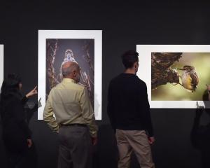 Tūhura Otago Museum Photography Competition judges (from left) Russell Drew, Gregor Richardson,...