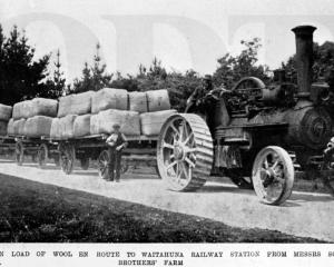 17/06/1908, Otago Witness. A grand crop of 70 acres of turnips on Airdree Farm, North Otago.