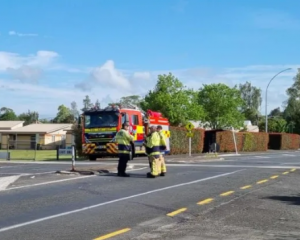 Emergency services at the scene. Photo: RNZ