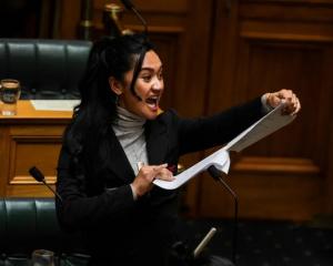 Te Pāti Māori MP Hana-Rawhiti Maipa-Clarke tears up a copy of Act New Zealand leader David...
