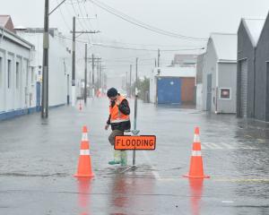 A sign of the times in Bradshaw St, South Dunedin in October this year. Photo: Gregor Richardson