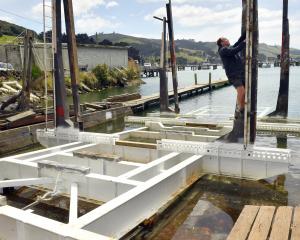 Carey’s Bay Marine Services owner Eldon Donaldson climbs the company’s recently installed new...