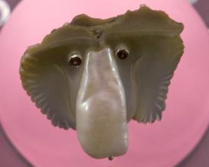 Proboscis Problem, by Jane Dodd.