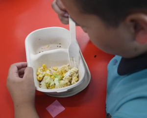 Ka Ora, Ka Ako was introduced by Labour in 2019 and has been allocated about $160 million a year...