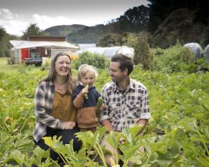 Lian Redding and Fiona Collings with their son Arne (2) at their Purakaunui market garden. They...