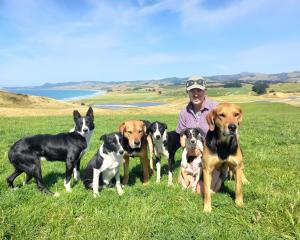 Pip Flower and her team of dogs at home on Lighthouse Hills near Moeraki. PHOTO: SALLY RAE