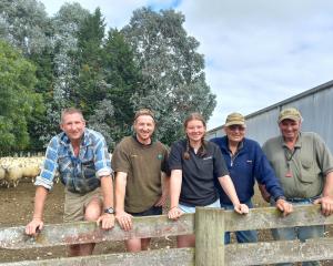 n the yards at Rosedale, near Gore, are, from left, Don Morrison, Lochie Morrison, Growing Future...