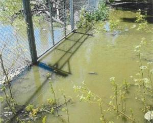 Discharge from the Queenstown Lakes District Council wastewater plant. PHOTO: SUPPLIED