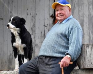 Angus Ferguson, pictured in March last year with his heading dog Floss. PHOTO: STEPHEN JAQUIERY