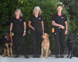 K9 Medical Detection New Zealand team (from left) founder and chief executive Pauline Blomfield,...