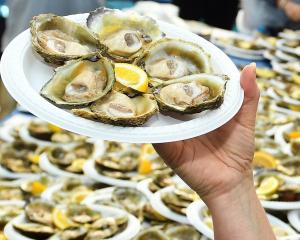 Many sets of hands touch an oyster before it gets to the public. PHOTOS: STEPHEN JAQUIERY/ODT

