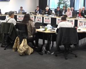 Dunedin City Council in campaign mode. Photo: ODT files