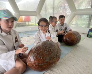 Ada Hunter, 7, Luna Edwards, 4, Skular Edwards, 6, and Hudson Taumata, 6, are hard at work in the...