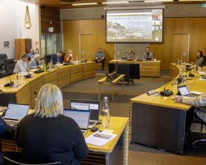 Selwyn District Council will make a decision on what direction to take for its water next week....