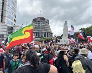 The Treaty debate. PHOTO: GETTY IMAGES