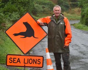 Department of Conservation coastal Otago biodiversity ranger Jim Fyfe is leaving his role after...