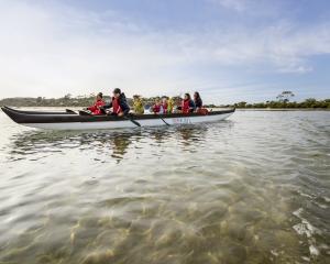 Karitāne Māori Tours takes customers on a restorative journey. Photo: Karitāne Māori Tours 