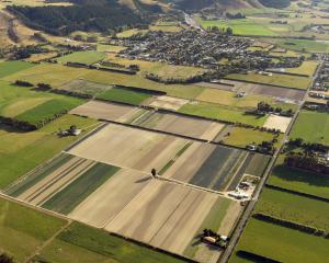 Market gardening patterns the Taieri in this file photo. Photo: Stephen Jaquiery