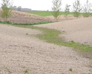 Runoff can be reduced by not cultivating low-lying areas in a paddock. PHOTO: ALLIED PRESS FILES