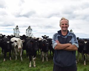 Dairy farm owner and operator Andrew McGregor and the heifers rebuilding his business in Eastern...