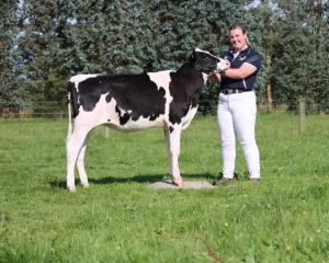Holstein Friesian New Zealand Black &amp; White Youth member Myah Dean, of Southland, won a prize...