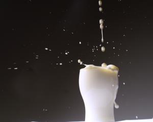 Dairy prices were a ‘‘mixed bag’’ in the first GlobalDairyTrade auction for the new season. Photo...