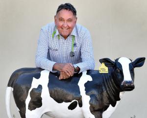 Long-serving Waimate veterinarian Dougall McLachlan is retiring this month after nearly five...