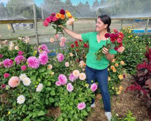 Cate Howie-Hughes planted her garden for pure enjoyment, and it has paid off in spades. PHOTO:...