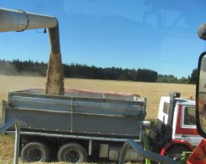 The New Zealand Feed Manufacturers Association is involving as many people as possible in its...
