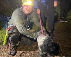 A rescuer pats the dog rescued with its owner from the cliffs at St Clair on Sunday night. PHOTO:...