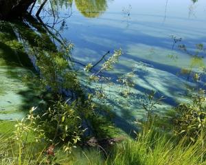 Photo: File image